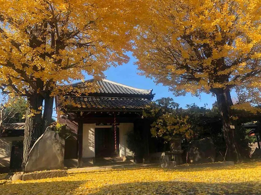 Us31山手线上野日本著名设计师设计公寓，直达上野2分直达新宿，涉谷，秋叶原，东京，便利店饮食店满载 Tokio